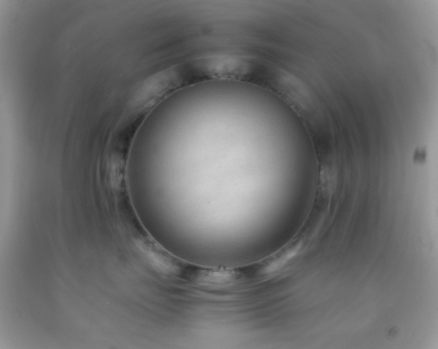 X0000092250671200709141149