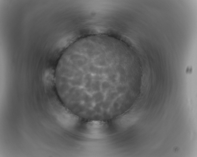 X0000092250672200709141149