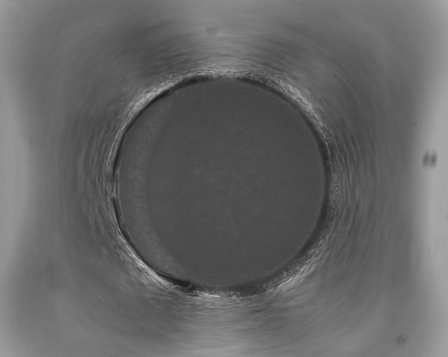 X0000092250673200709141149
