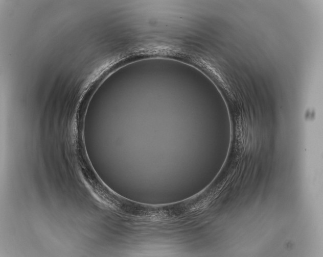 X0000092250674200709141149