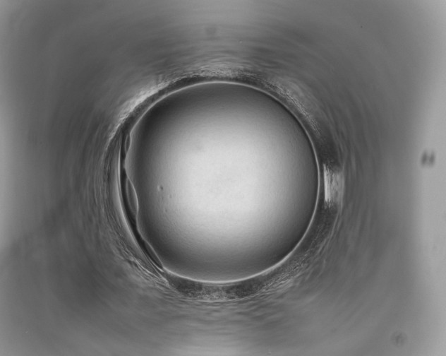 X0000092250675200709141149