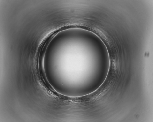 X0000092250676200709141149