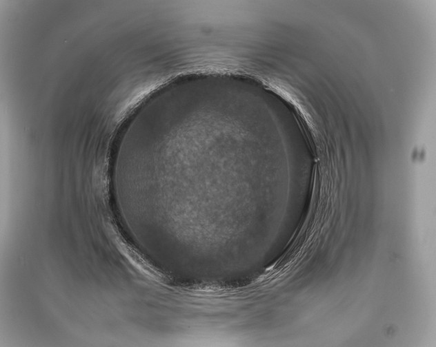X0000092250677200709141149