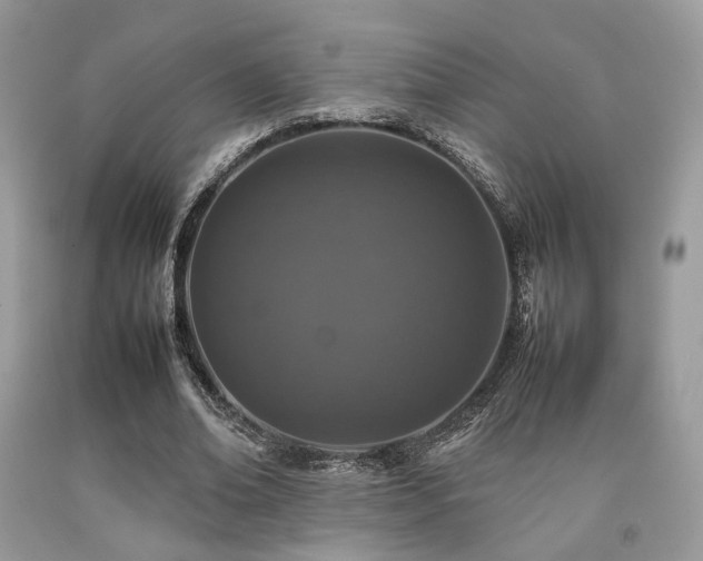 X0000092250678200709141148