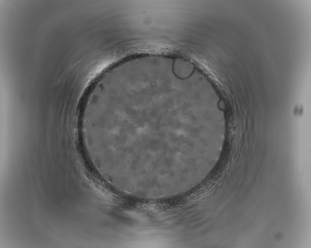 X0000092250679200709141148