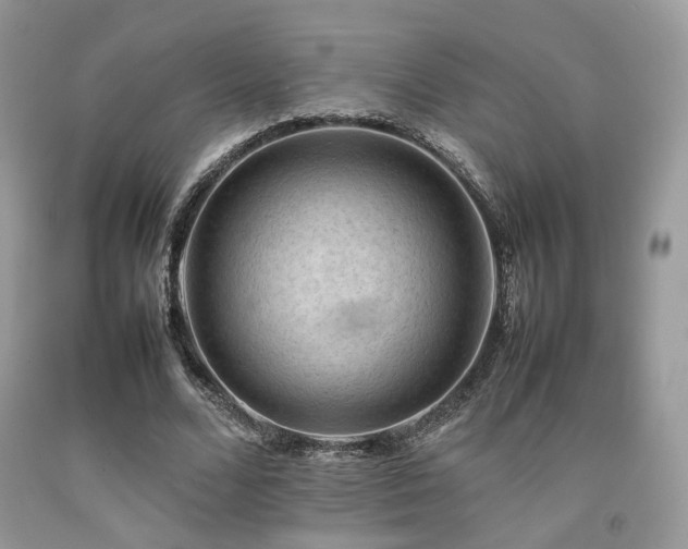 X0000092250680200709141148