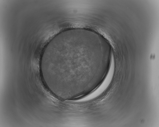 X0000092250681200709141148