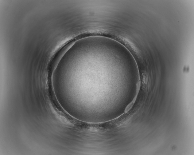 X0000092250684200709141148