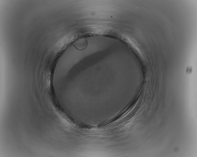 X0000092250685200709141148