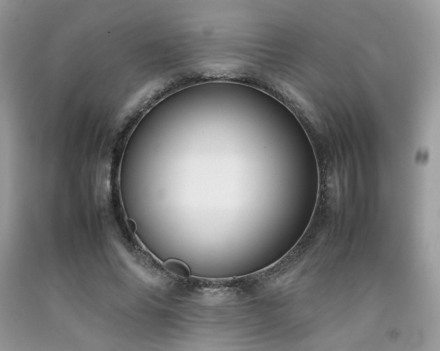 X0000092250686200709141148