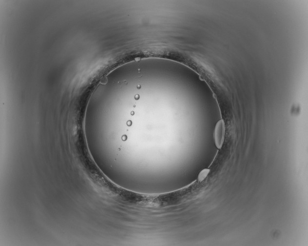 X0000092250687200709141148