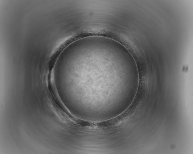 X0000092250688200709141148