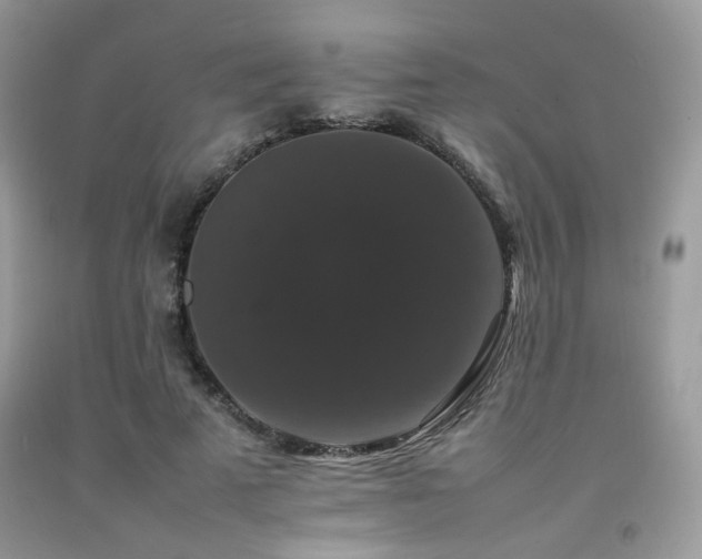 X0000092250689200709141148