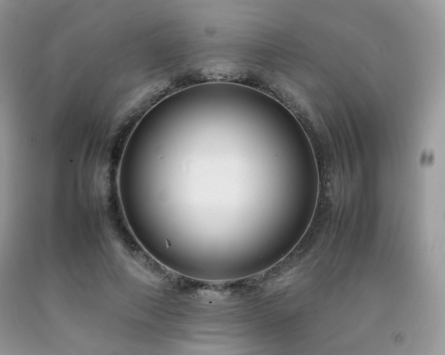 X0000092250690200709141148