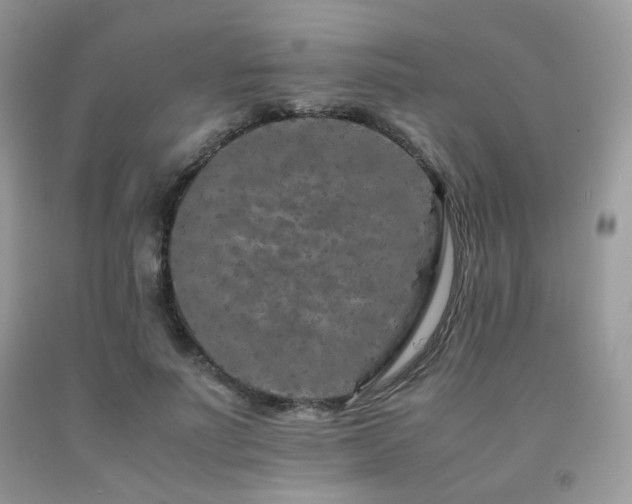 X0000092250691200709141148