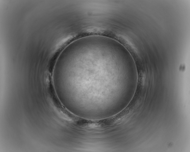 X0000092250692200709141148