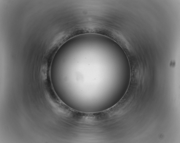X0000092250694200709141148