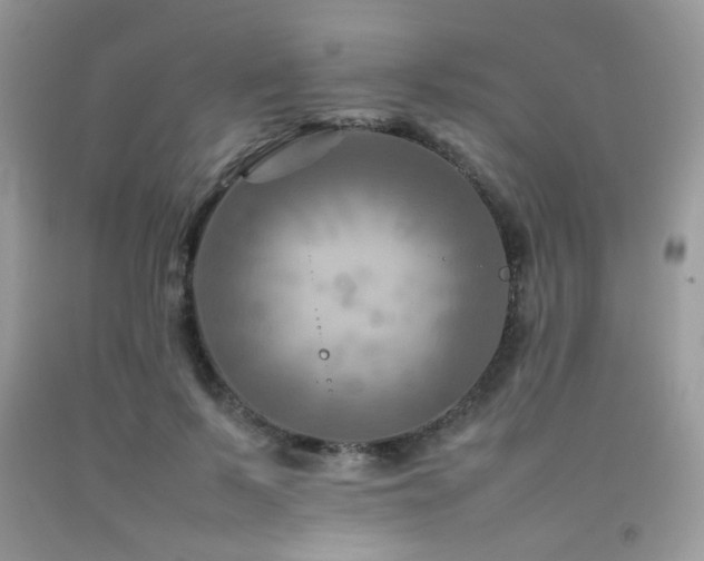 X0000092250695200709141148