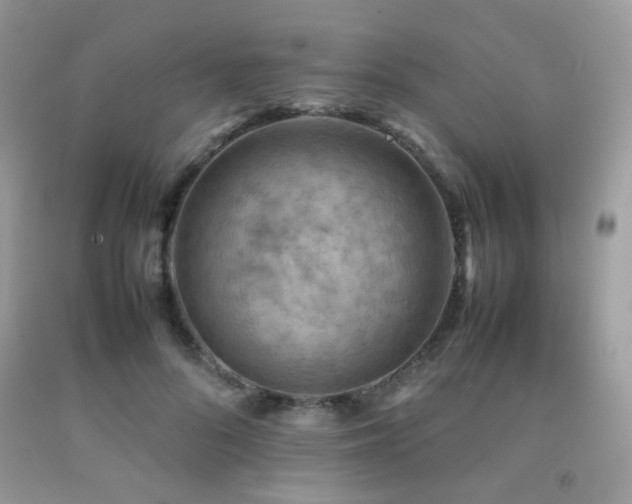 X0000092250696200709141148