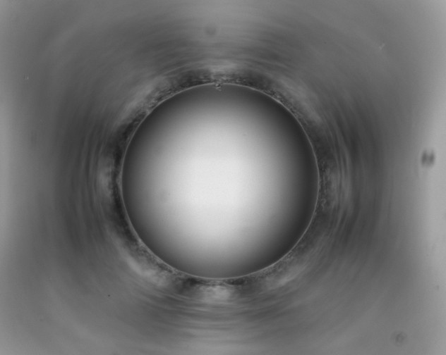 X0000092250698200709141148