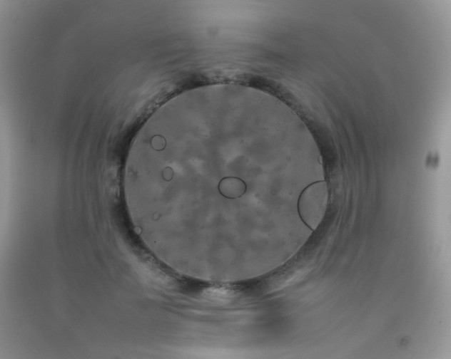 X0000092250699200709141148
