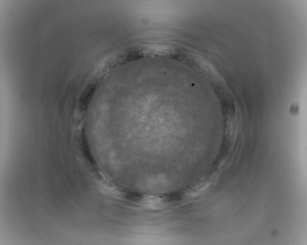 X0000092250701200709141148