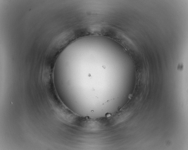 X0000092250702200709141148