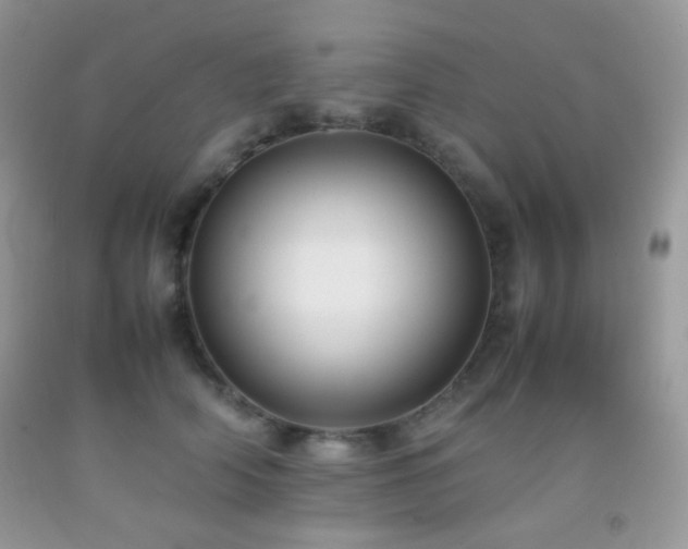 X0000092250706200709141148