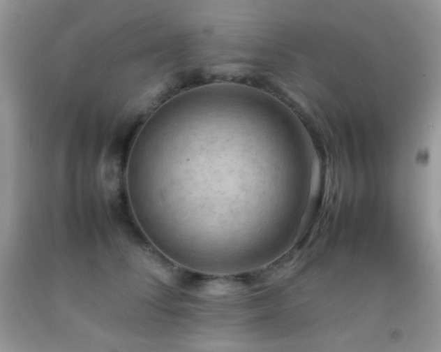 X0000092250708200709141148