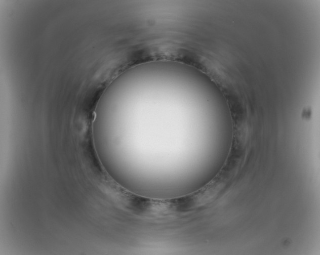 X0000092250709200709141148