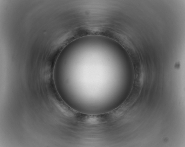 X0000092250710200709141148