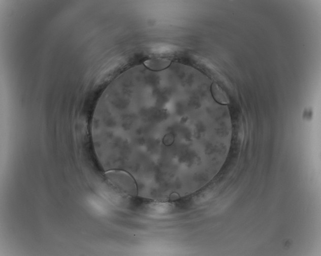 X0000092250711200709141148