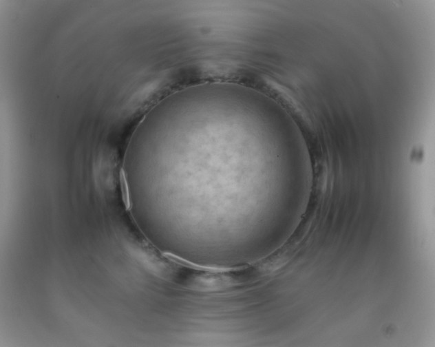 X0000092250712200709141148