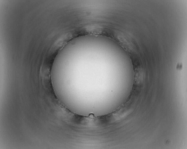 X0000092250713200709141148