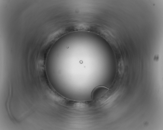 X0000092250714200709141148