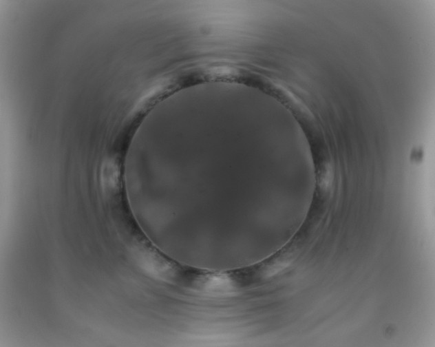 X0000092250715200709141148