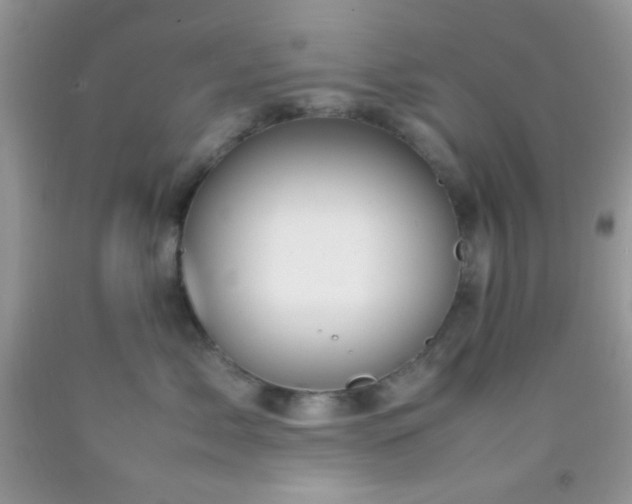 X0000092250717200709141148