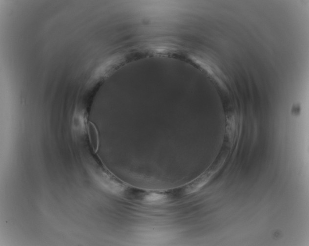 X0000092250718200709141148