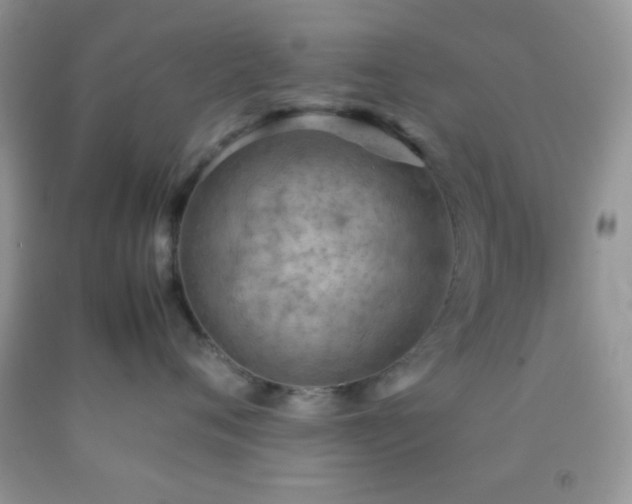 X0000092250720200709141148