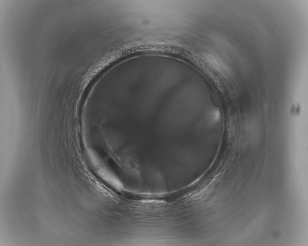 X0000092250721200709141147