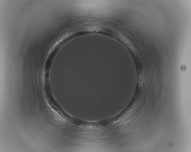 X0000092250722200709141147