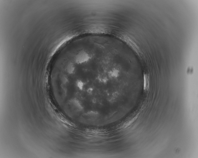 X0000092250723200709141147