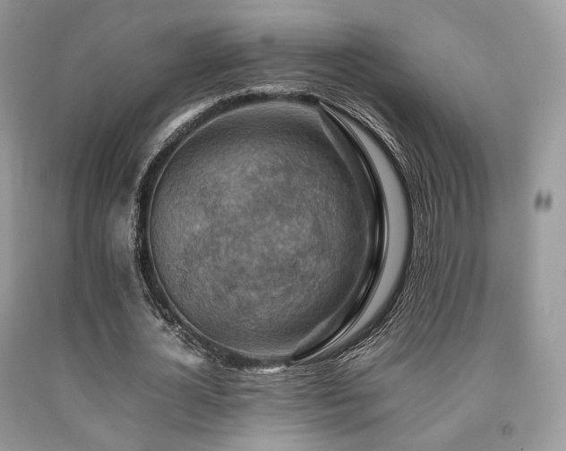X0000092250724200709141147