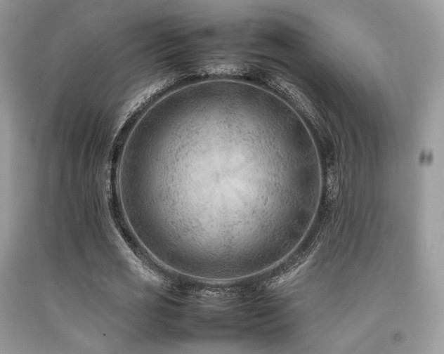 X0000092250725200709141147