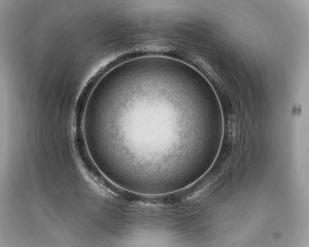 X0000092250726200709141147