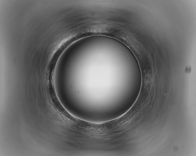 X0000092250727200709141147