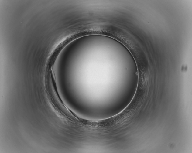 X0000092250728200709141147