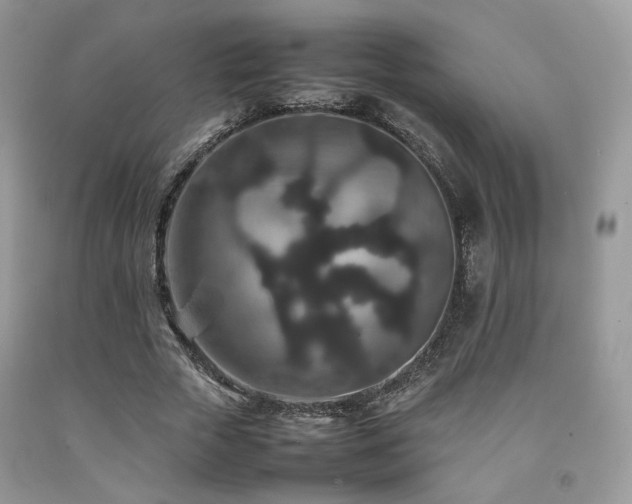 X0000092250729200709141147