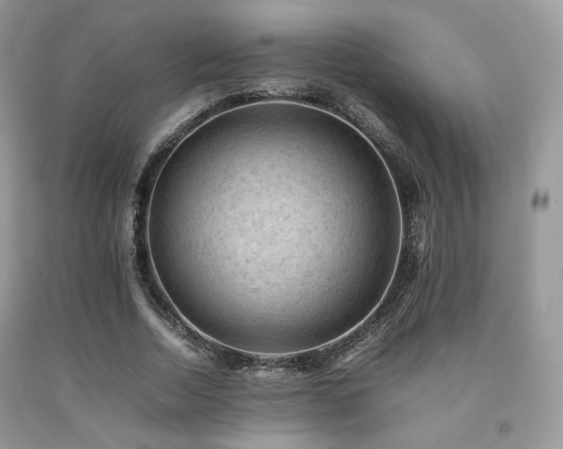 X0000092250730200709141147