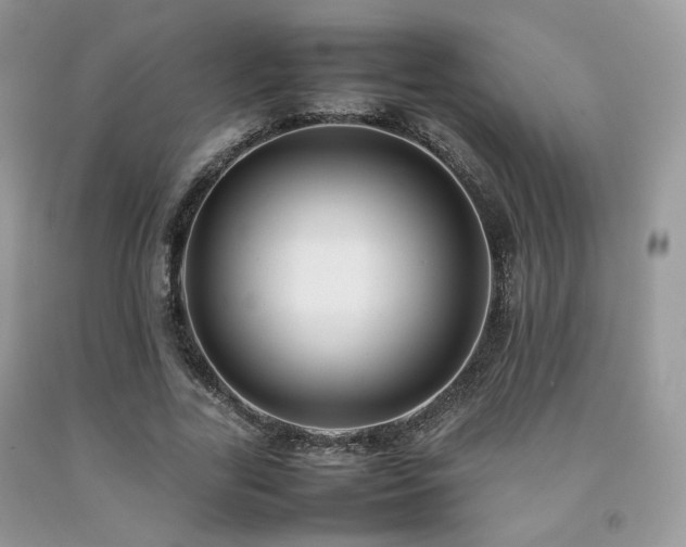 X0000092250731200709141147